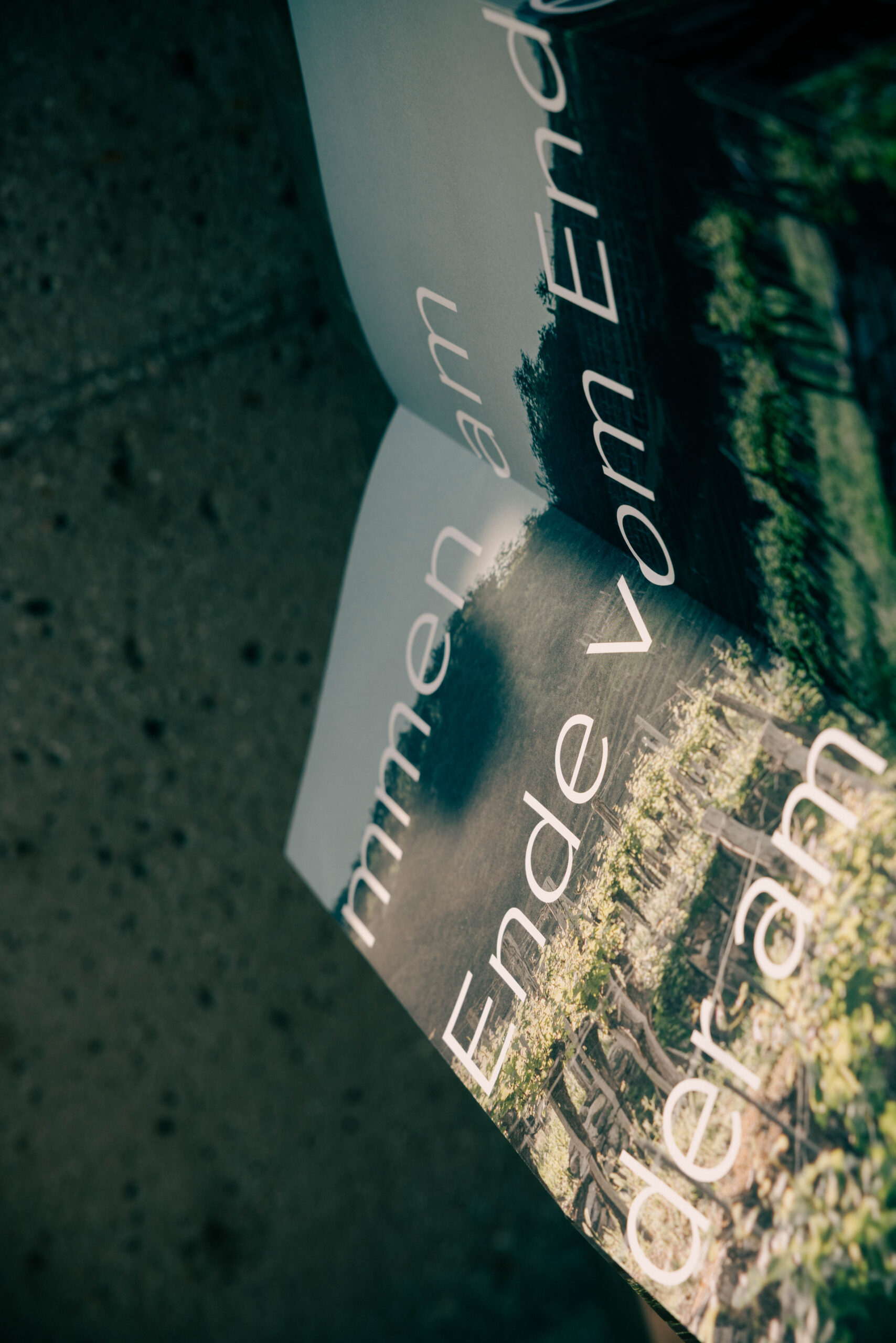 Projekt Medium