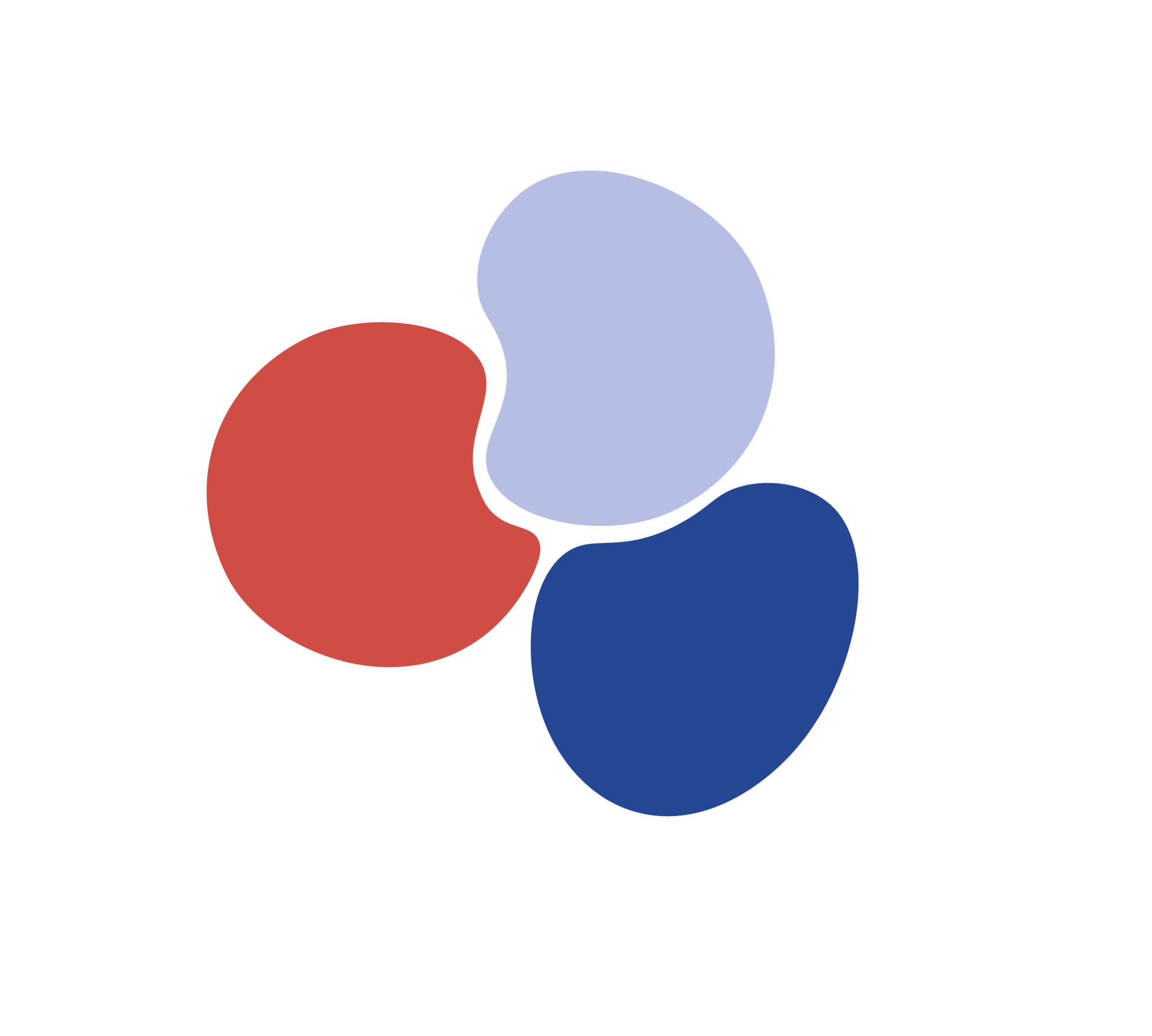 Projekt Medium
