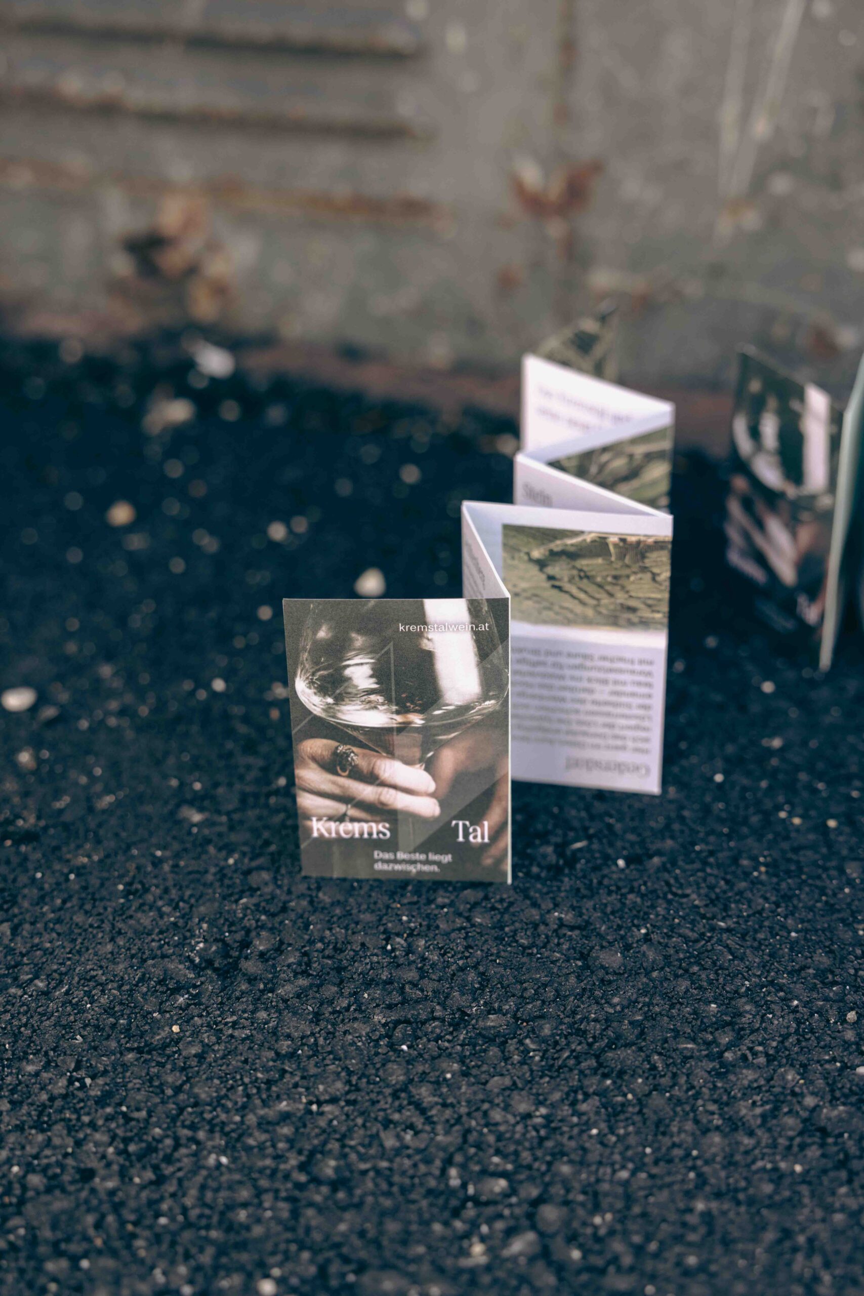 Projekt Medium