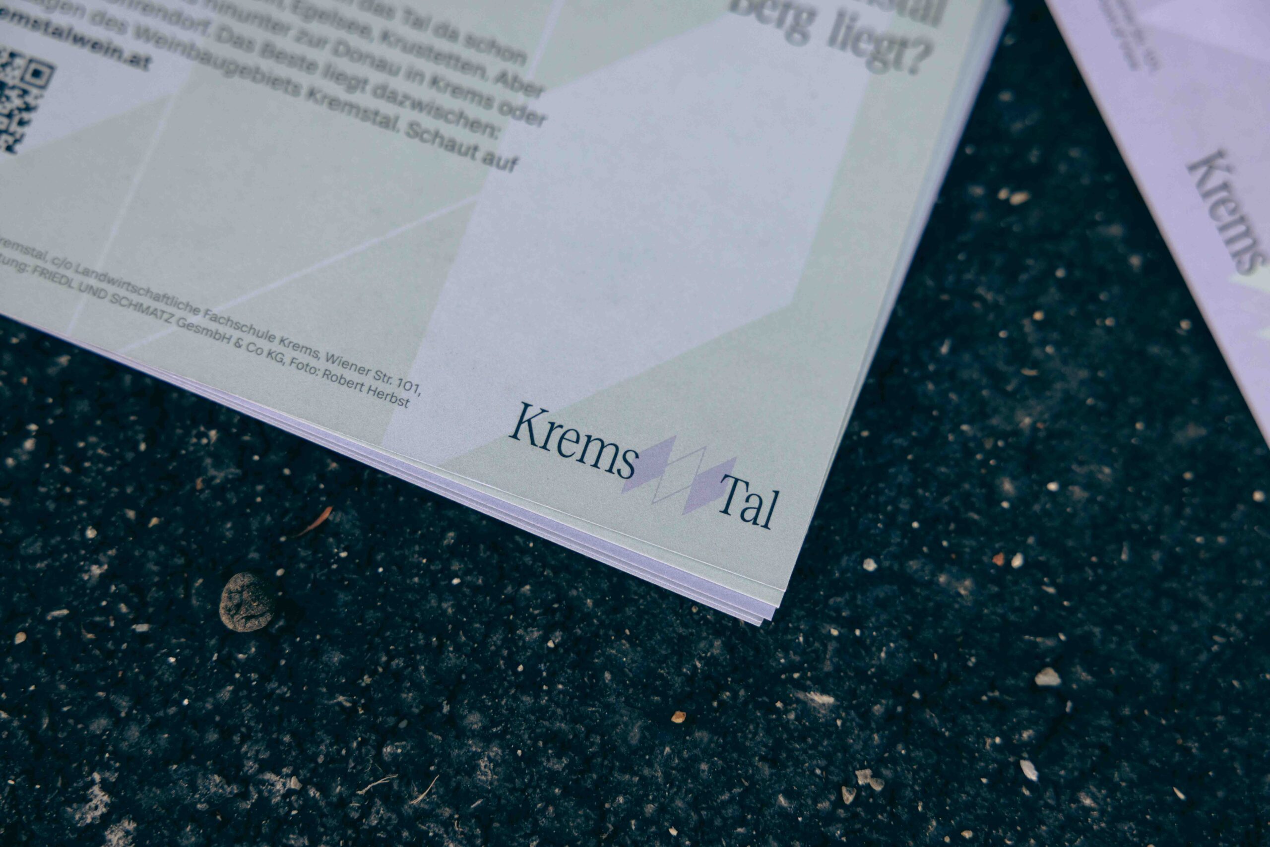 Projekt Medium