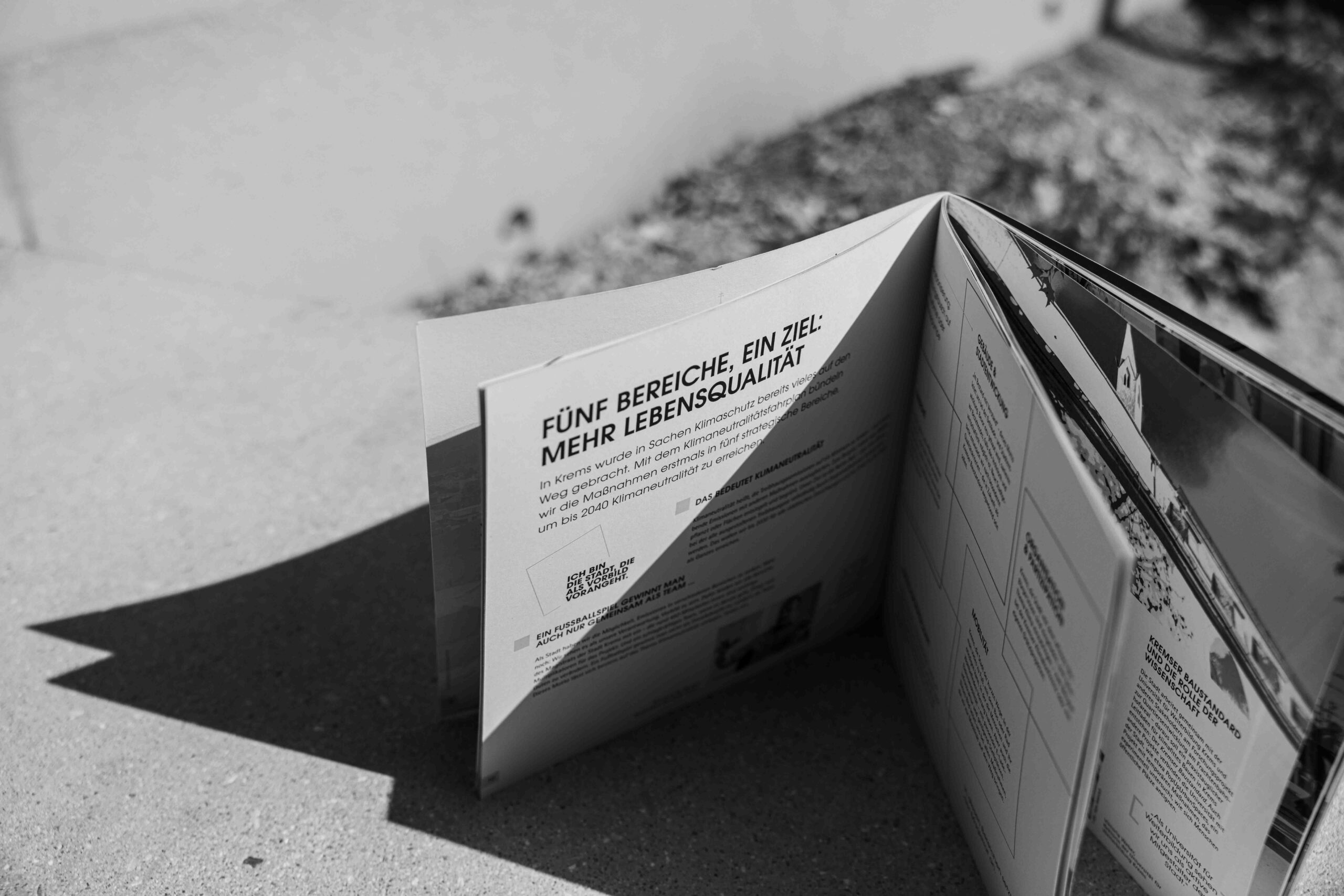 Projekt Medium
